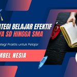 Strategi Belajar Efektif untuk Siswa SD hingga SMA
